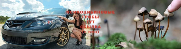 мяу мяу мука Бородино