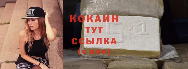 Альфа ПВП Пересвет