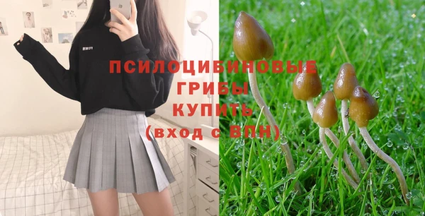 мяу мяу мука Бородино