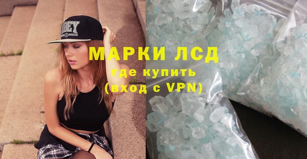 мяу мяу мука Бородино