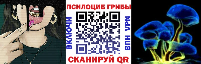 магазин продажи Славянск-на-Кубани Галлюциногенные грибы Cubensis
